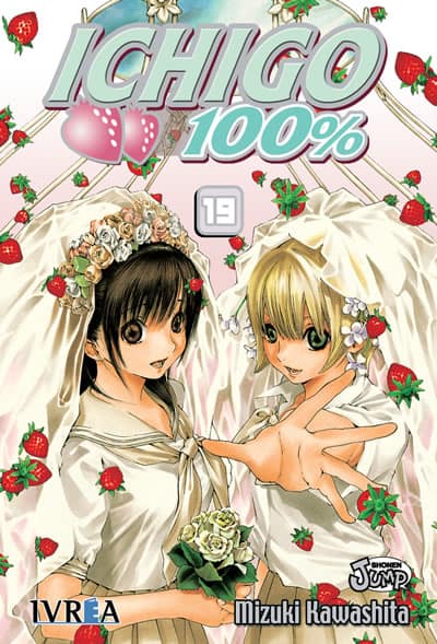 book_ichigo19_ivreaesp Ichigo 100% - 19