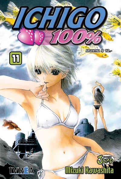 book_ichigo11_ivreaesp Ichigo 100% - 11