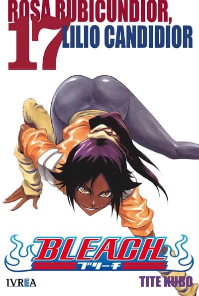 book_bleach17_ivreaesp Bleach 17 (España)